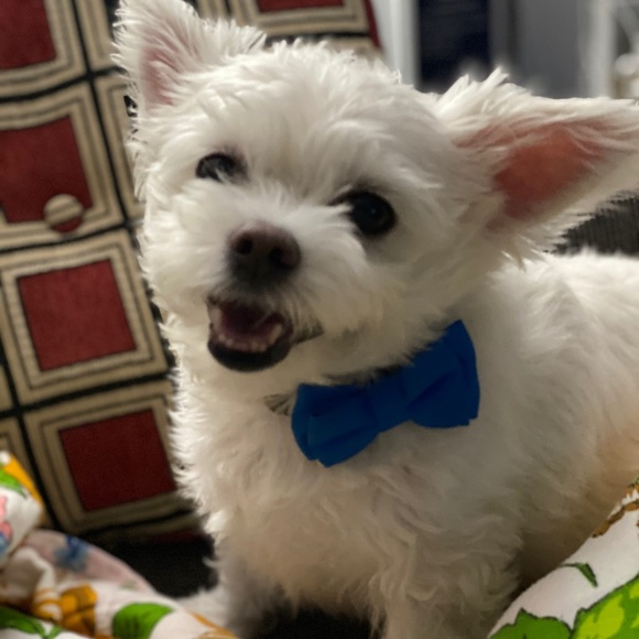 Meet your Posher, Kayla - Picture 1 of 1